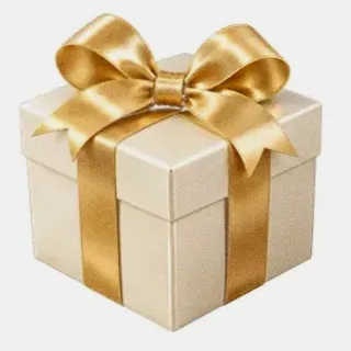 Wrapped gift box — Joe Fortune
