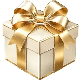 Gift box — Joe Fortune