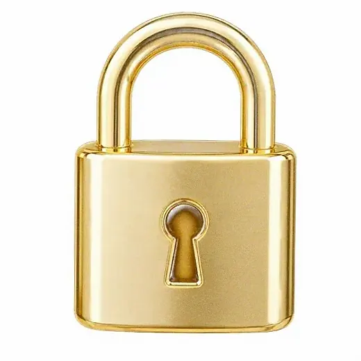 Metal padlock — Joe Fortune